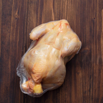 Bolsas Retráctiles Ecológicas Para Aves