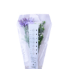 Película Transparente Bio PLA 100% Compostable Impresa Personalizada Para Envasado De Flores