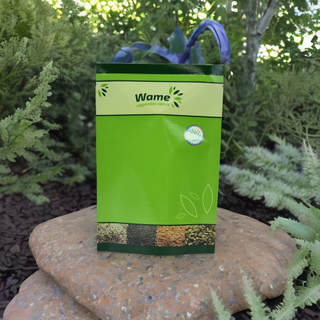 Bolsas De Semillas De Girasol Verdes Pequeñas Doypack Resellables Personalizadas