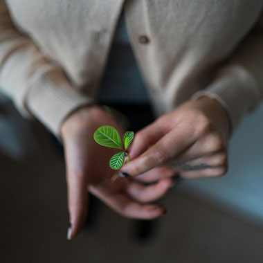 Materiales de origen vegetal