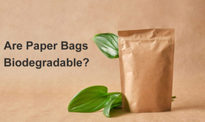 are-paper-bags-biodegradable.jpg