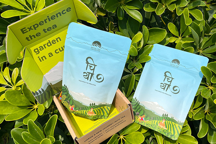 bolsas para t&eacute;