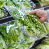 Las Mejores Bolsas De Plástico Transparentes Reciclables Y Termoselladas Para Verduras De Hoja Verde