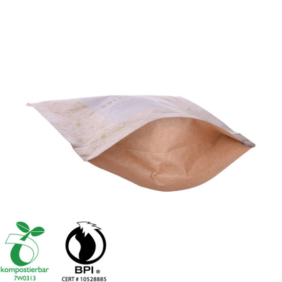 Proveedor de bolsita de bolsita de té degradable en polvo de proteína de suero de China